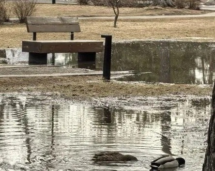 Несколько территорий в разных районах Красноярска подтопило талыми водами