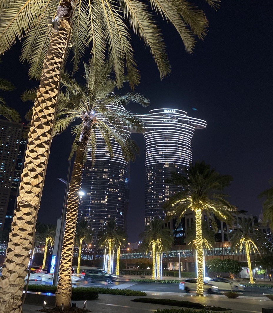 Красноярка застряла на круизном лайнере в Дубае