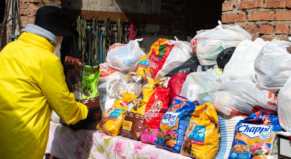 В Красноярске стартовала акция «Дай лапу, друг»